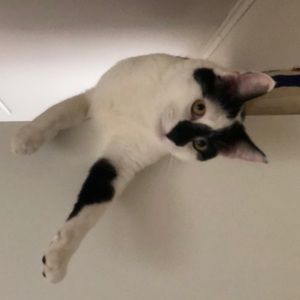 Meet your Posher, Karen